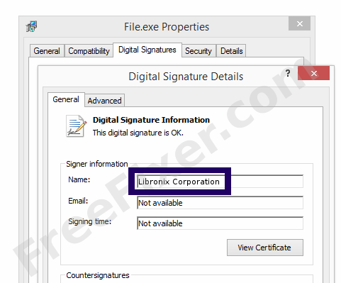 Screenshot of the Libronix Corporation certificate